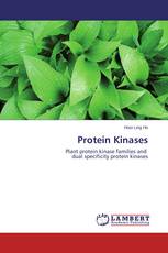 Protein Kinases
