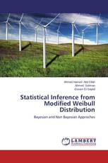 Statistical Inference from Modified Weibull Distribution