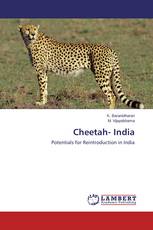 Cheetah- India