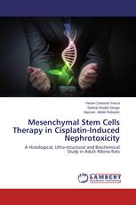 Mesenchymal Stem Cells Therapy in Cisplatin-Induced Nephrotoxicity