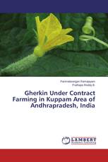 Gherkin Under Contract Farming in Kuppam Area of Andhrapradesh, India