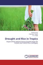 Drought and Rice in Tropics