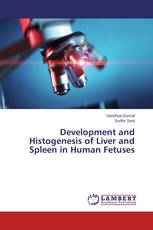 Development and Histogenesis of Liver and Spleen in Human Fetuses