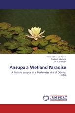 Ansupa a Wetland Paradise