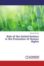 Role of the United Nations in the Promotion of Human Rights