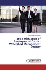 Job Satisfaction of Employees at District Watershed Management Agency