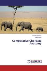 Comparative Chordate Anatomy
