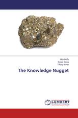 The Knowledge Nugget