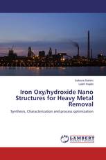 Iron Oxy/hydroxide Nano Structures for Heavy Metal Removal