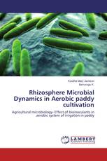 Rhizosphere Microbial Dynamics in Aerobic paddy cultivation