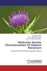 Molecular Genetic Characterization Of Silybum Marianum