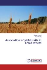 Association of yield traits in bread wheat