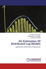 On Estimation Of Distributed Lag Models