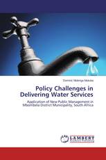 Policy Challenges in Delivering Water Services