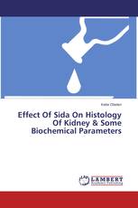 Effect Of Sida On Histology Of Kidney & Some Biochemical Parameters