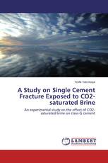 A Study on Single Cement Fracture Exposed to CO2-saturated Brine