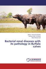 Bacterial renal diseases with its pathology in Buffalo calves