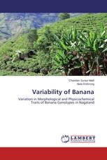 Variability of Banana