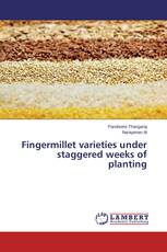Fingermillet varieties under staggered weeks of planting
