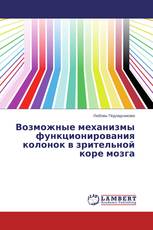Возможные  механизмы функционирования колонок в зрительной коре мозга
