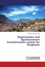 Regeneration and Agrobacterium transformation system for Sorghums