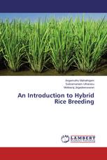 An Introduction to Hybrid Rice Breeding