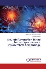 Neuroinflammation  in the human spontaneous intracerebral hemorrhage