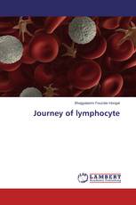 Journey of lymphocyte