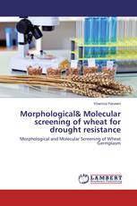 Morphological& Molecular screening of wheat for drought resistance