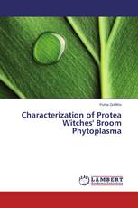 Characterization of Protea Witches' Broom Phytoplasma