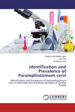 Identification and Prevalence of Paramphistomum cervi