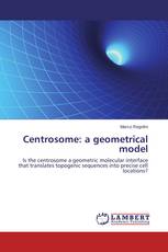 Centrosome: a geometrical model