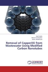 Removal of Copper(II) from Wastewater Using Modified Carbon Nanotubes