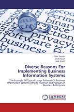 Diverse Reasons For Implementing Business Information Systems