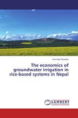 The economics of groundwater irrigation in rice-based systems in Nepal