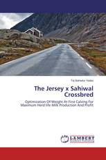 The Jersey x Sahiwal Crossbred