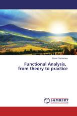 Functional Analysis,   from theory to practice