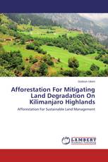 Afforestation For Mitigating Land Degradation On Kilimanjaro Highlands