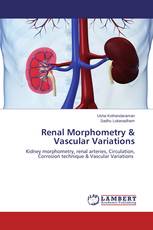 Renal Morphometry & Vascular Variations