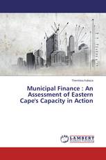 Municipal Finance : An Assessment of Eastern Cape's Capacity in Action