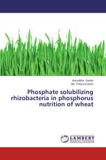 Phosphate solubilizing rhizobacteria in phosphorus nutrition of wheat