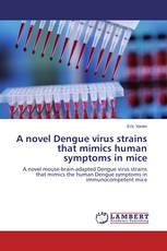 A novel Dengue virus strains that mimics human symptoms in mice