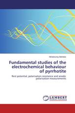 Fundamental studies of the electrochemical behaviour of pyrrhotite