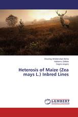 Heterosis of Maize (Zea mays L.) Inbred Lines
