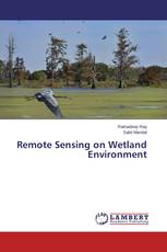 Remote Sensing on Wetland Environment