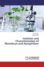 Isolation and Characterization of Rhizobium and Azospirillum