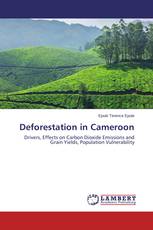 Deforestation in Cameroon
