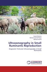 Ultrasonography in Small Ruminants Reproduction