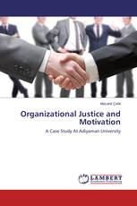 Organizational Justice and Motivation