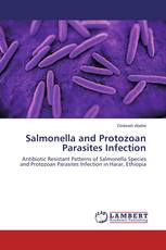 Salmonella and Protozoan Parasites Infection